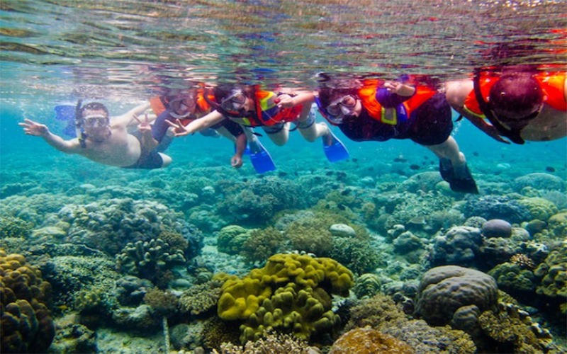 kegiatan snorkeling di kepulauan Seribu